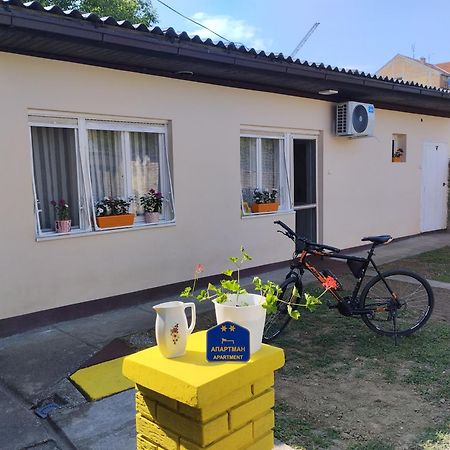 Cyclo Apartment Pinki Bačka Palanka Екстериор снимка
